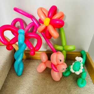 Balloon Modelling